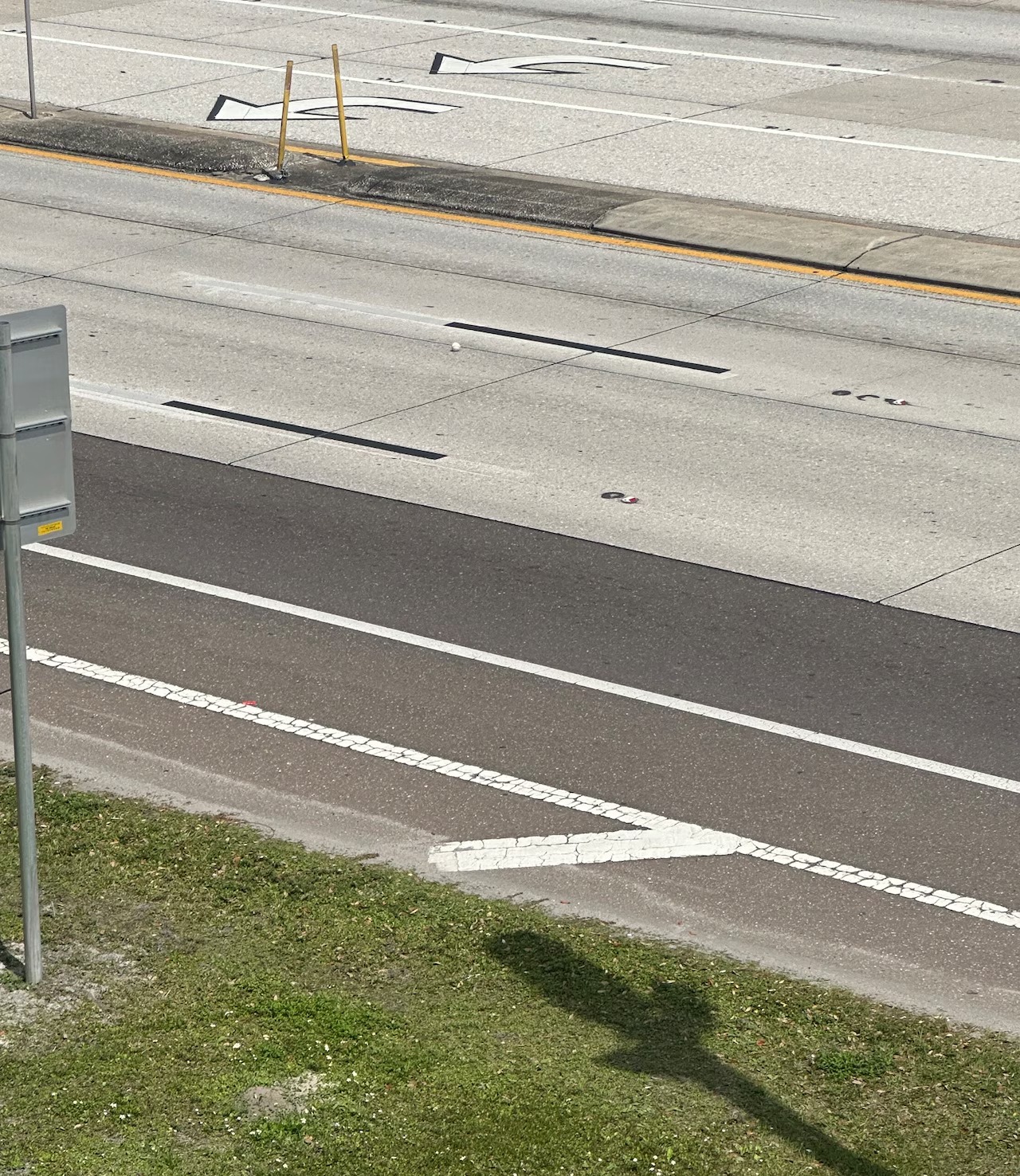 A LA CALLE: Jonrón de Juan Soto DESATÓ locura en Tampa