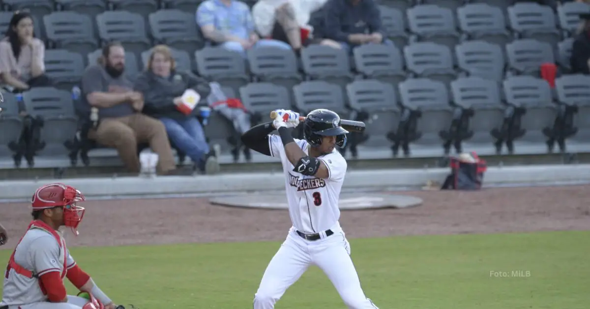 Narbe Cruz tomando turno con la filial de Houston Astros