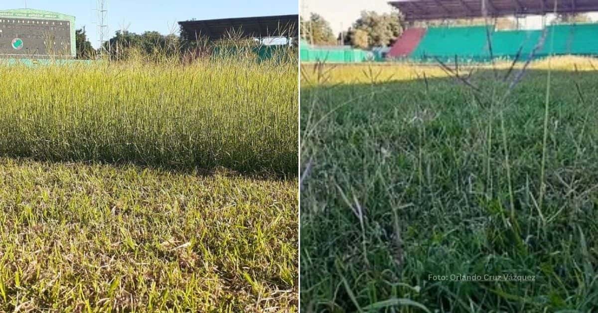 El estadio de beisbol de Las Tunas se asemeja más a un bosque que a un terreno deportivo