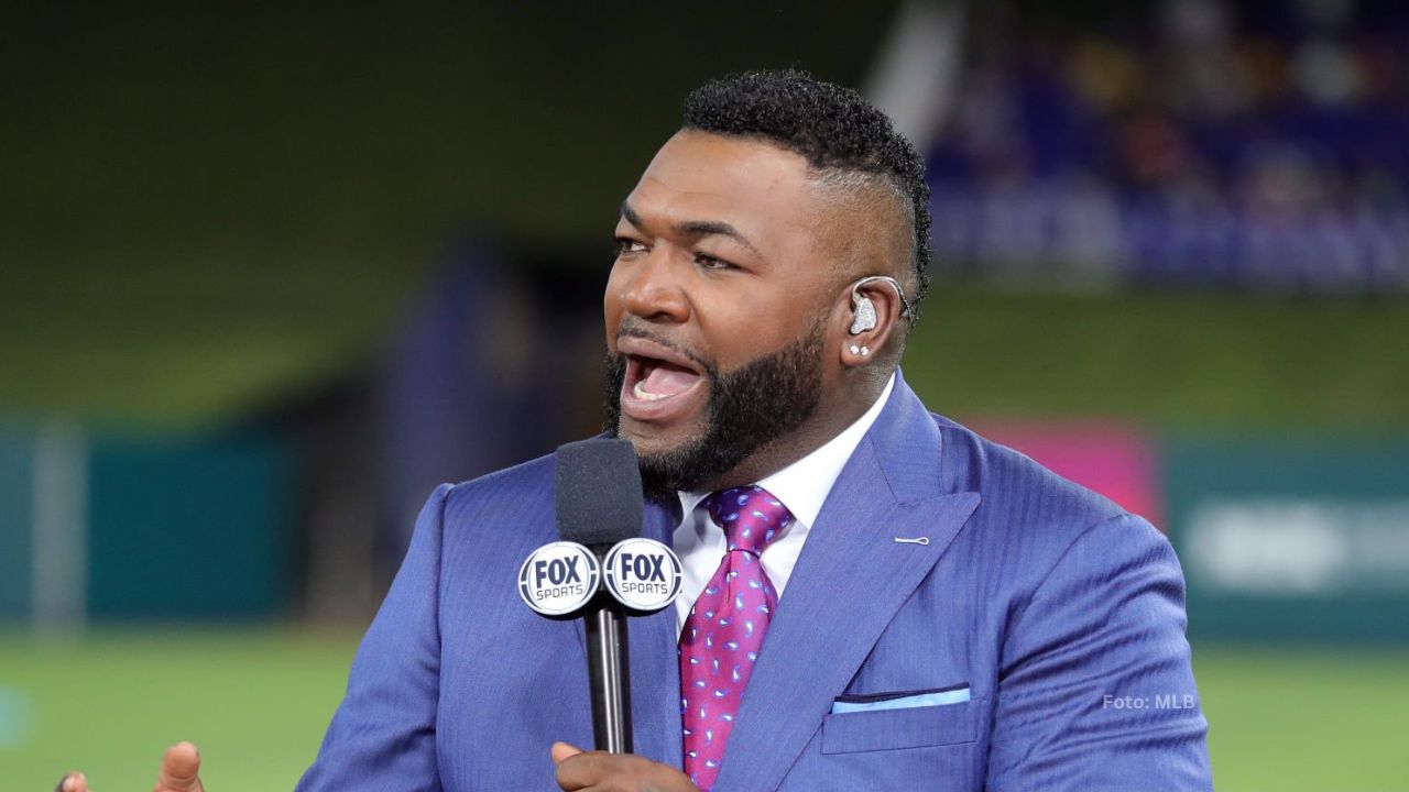 David Ortiz en la televisión