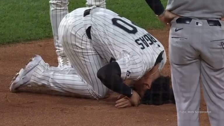 Miguel Vargas, Chicago White Sox