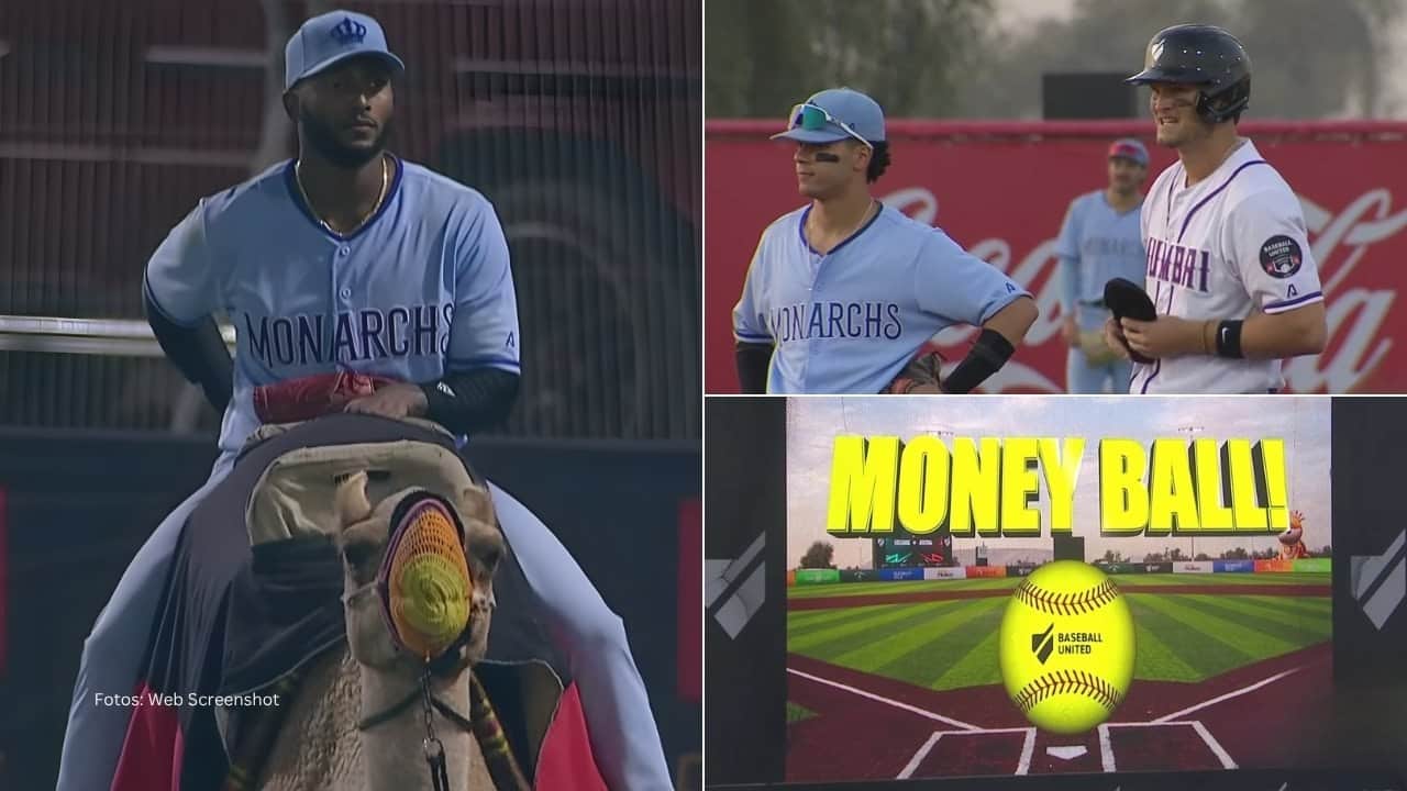 Jugadores en la liga de Baseball United y un camello