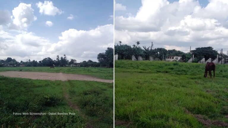 Los casos similares van más allá de Pinar del Río y son visibles en cualquier escenario del beisbol cubano.