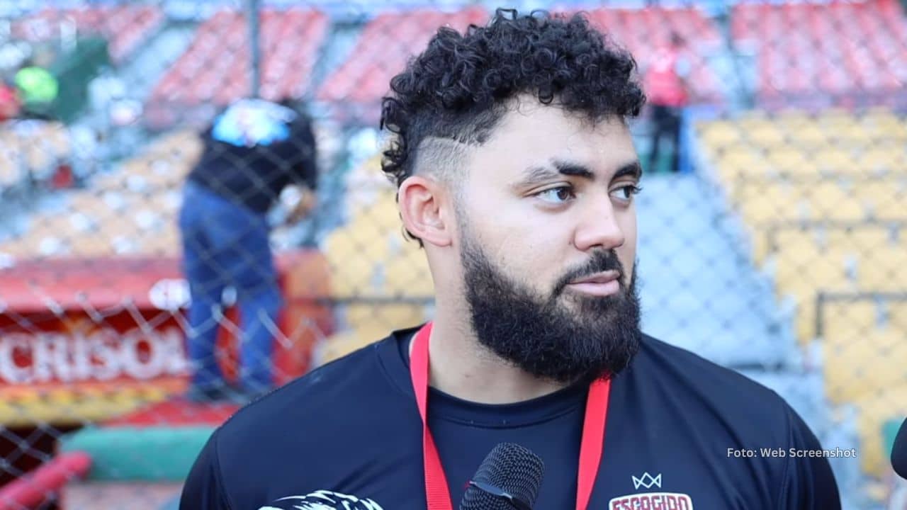 Jasson Domínguez, LIDOM