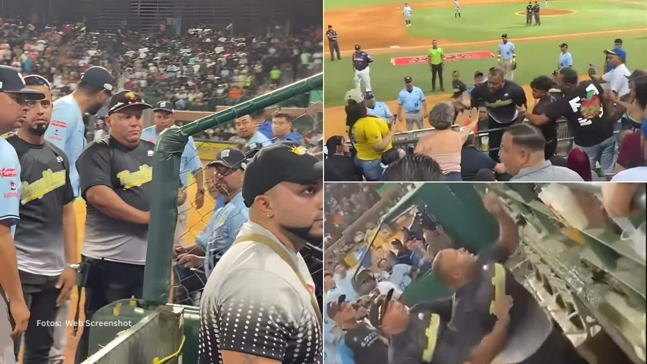 Empleados de Seguridad de Navegantes del Magallanes pelean con fanático en LVBP